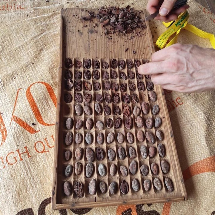 Öko Caribe, photo 2