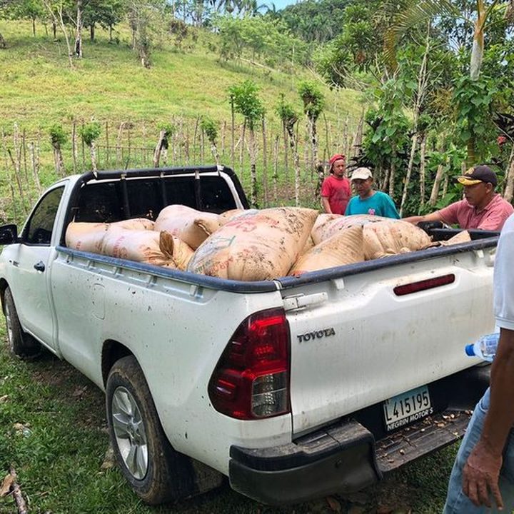 Öko Caribe, photo 6