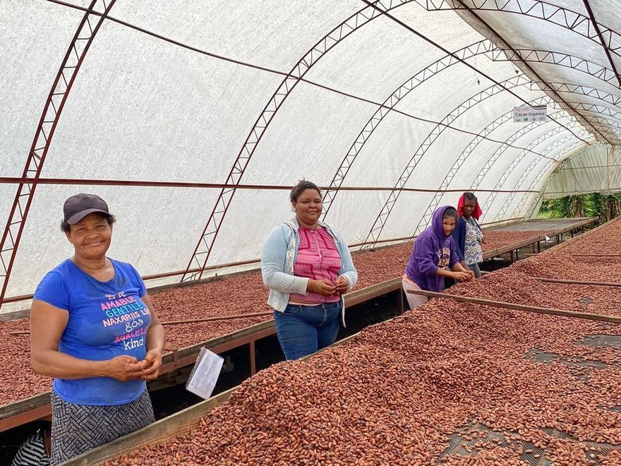 Cleaning the cacao at Öko Caribe