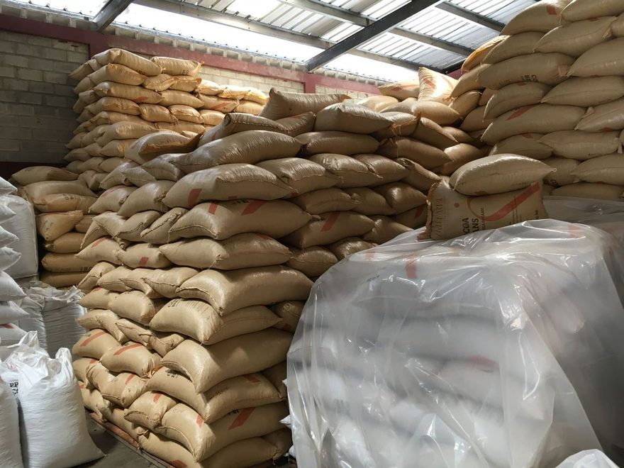 Storing the cacao at Öko Caribe