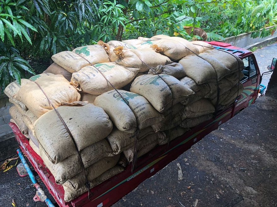 Transporting the cacao at Öko Caribe